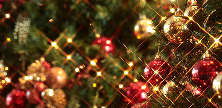 ビストロ・メゾン・ドゥ・シェフよりクリスマスディナー予約案内