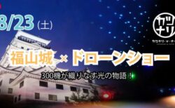 【幻想の夜空】福山城 × ドローンショー 300機が織りなす光の物語！